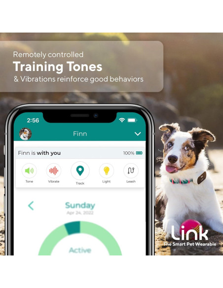 Rastreador GPS para Perros Link My Pet - Salud y Actividad Rastreador GPS para Perros Link My Pet - Salud y Actividad