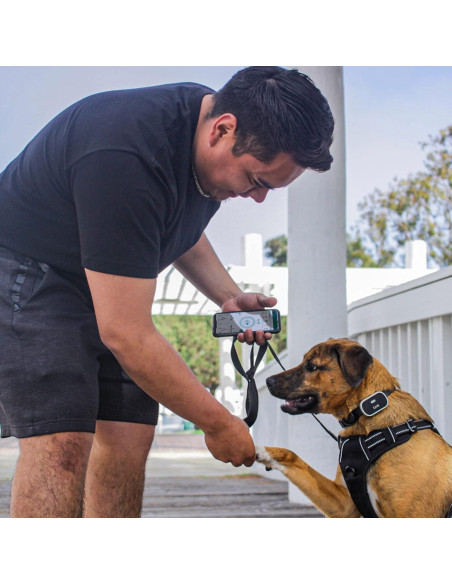 Rastreador GPS para Perros Link My Pet - Salud y Actividad Rastreador GPS para Perros Link My Pet - Salud y Actividad
