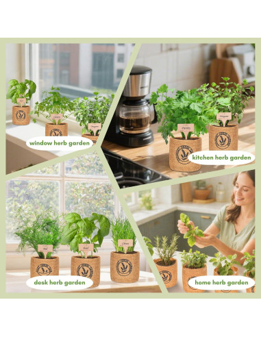 Kit de Jardín de Hierbas de Interior Environet - 10 Variedades Orgánicas