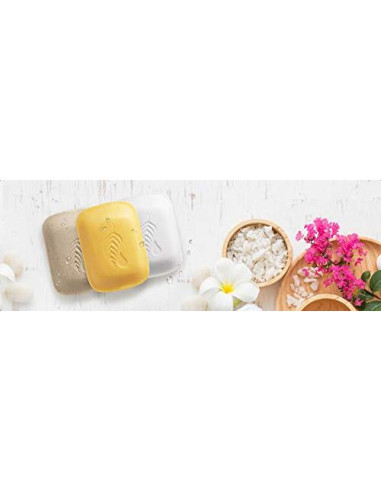 Barra de Baño Melaleuca Piña y Mango 90g - Hidratante Natural