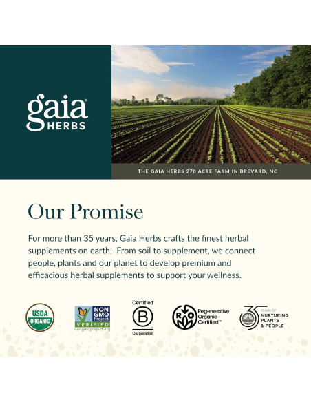 Gaia Herbs Apoyo a la Lactancia 120 Cápsulas Veganas - Fenogreco, Hinojo Gaia Herbs Apoyo a la Lactancia 120 Cápsulas Veganas - Fenogreco, Hinojo