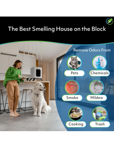 Purificador de Aire Air Oasis iAdapt 2.0 Filtro HEPA H13 - 3 Tamaños