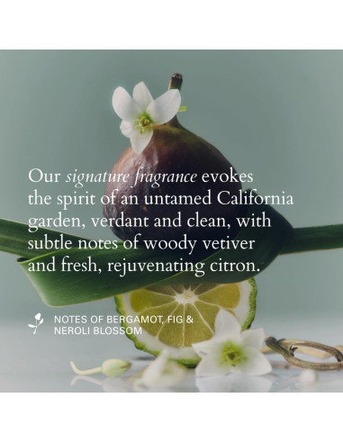 Aceite para Estilizar RZ Santa Lucia 60 ml - Control de Frizz