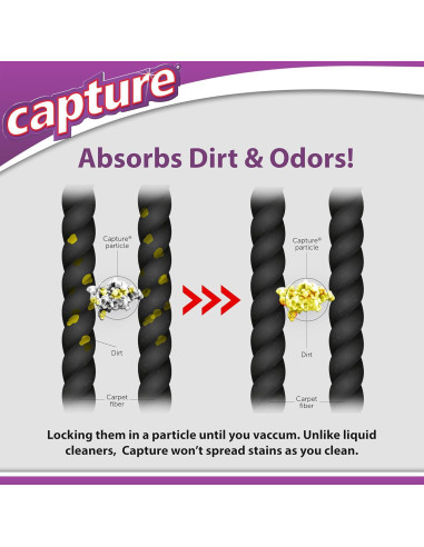 Kit de Limpieza de Alfombra Capture 100 - 0.45 kg + Pre-Mist 0.47 L