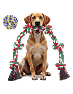 Juguetes de Cuerda para Perros Grandes Ryvaxxi 100cm 2 Paquete