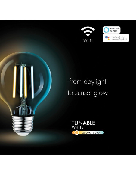 Bombilla LED Inteligente Globe Electric 5.5W E26 G25 Regulable Bombilla LED Inteligente Globe Electric 5.5W E26 G25 Regulable