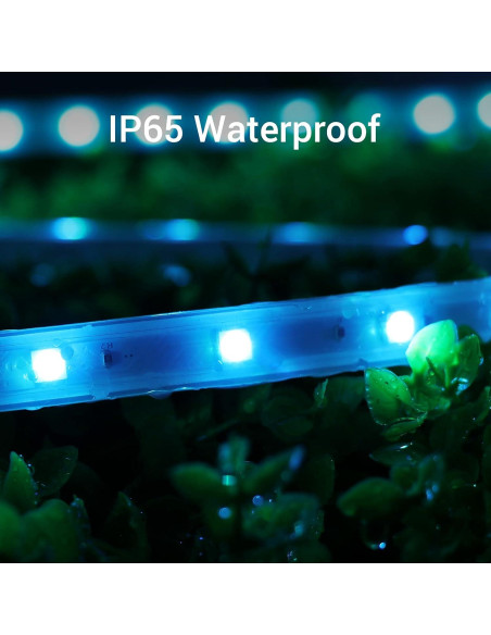 Luz de Cuerda LED RGB NOVOSTELLA 15m Control App IP65 Luz de Cuerda LED RGB NOVOSTELLA 15m Control App IP65