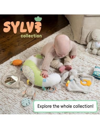Ingenuity Sylvi Conejito de Peluche y Mordedor 0M+
