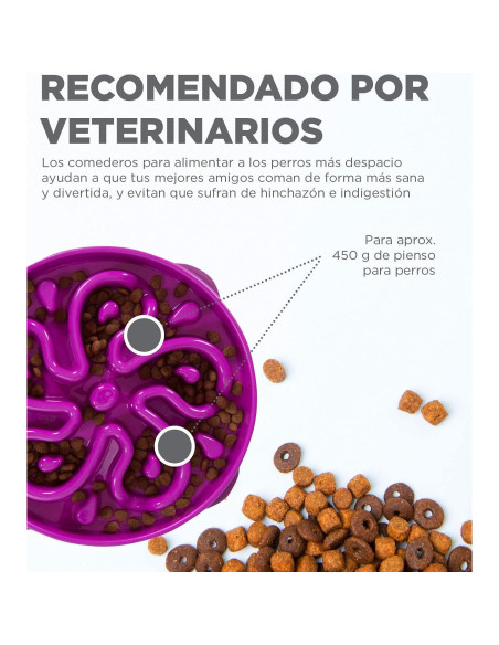 Cuenco para Perros Outward Hound Fun Feeder Slo Bowl Grande Cuenco para Perros Outward Hound Fun Feeder Slo Bowl Grande