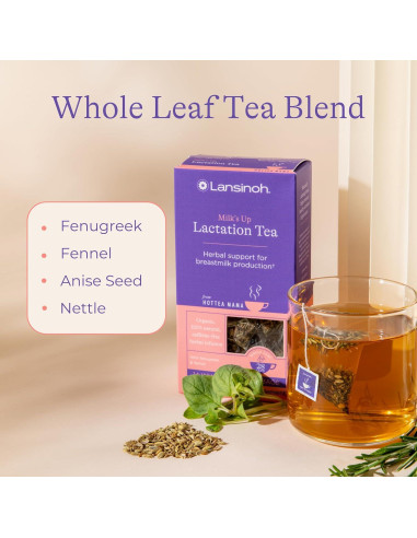 Té de Apoyo para Lactancia Lansinoh + HotTea Mama 14 Bolsitas