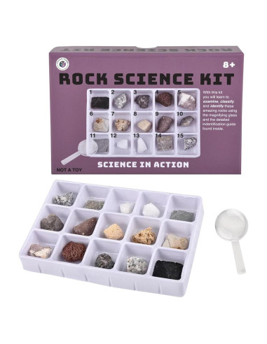 Kit de Ciencia de Rocas Bosque y Duodécimo - 16 Rocas Reales