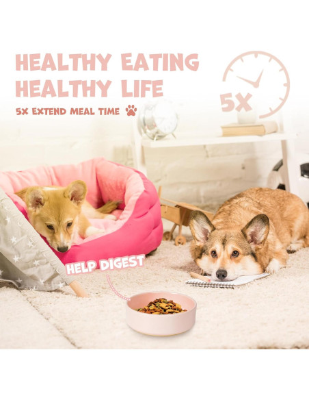 Cuenco de Alimentación Lenta YOBRO Rosa para Perros Medianos Cuenco de Alimentación Lenta YOBRO Rosa para Perros Medianos