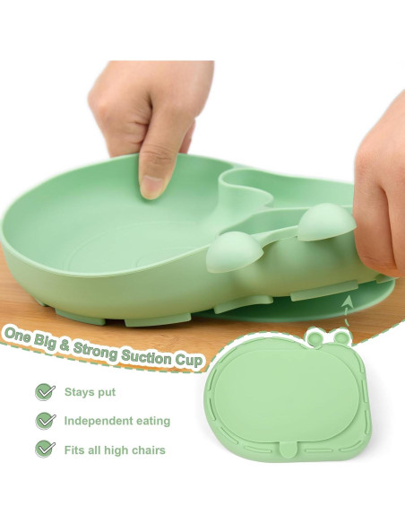 Plato de Silicona PHEENOWL Caracol Verde 3 Compartimentos Plato de Silicona PHEENOWL Caracol Verde 3 Compartimentos
