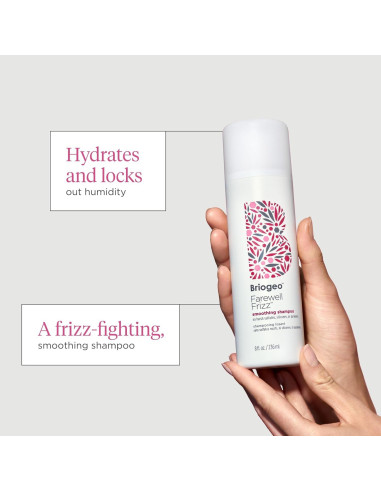 Champú Suavizante Briogeo 1000 ml - Controla Frizz y Brillo