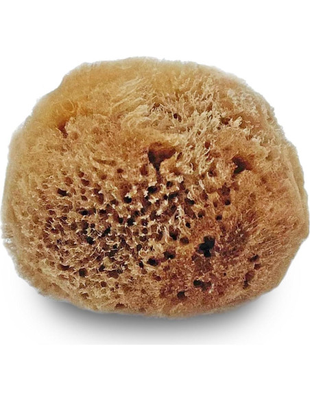 Esponjas Naturales de Mar Lullingworth 10 Piezas 5-10 cm Esponjas Naturales de Mar Lullingworth 10 Piezas 5-10 cm
