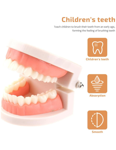 Set Montessori de Cepillado de Dientes STOBOK para Niños Set Montessori de Cepillado de Dientes STOBOK para Niños