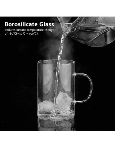 Taza de Té de Vidrio Borosilicato Ecooe 500ml con Infusor Acero