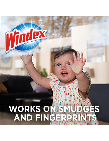 Toallitas de limpieza Windex para vidrio y superficies - 168 unidades Toallitas de limpieza Windex para vidrio y superficies - 168 unidades