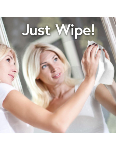 Toallitas de limpieza Windex para vidrio y superficies - 168 unidades