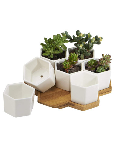 Macetas Hexagonales Cerámica Blanca FLOWERPLUS 7 Piezas 6.5 cm