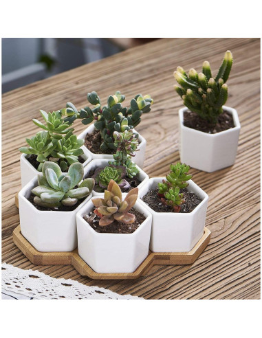 Macetas Hexagonales Cerámica Blanca FLOWERPLUS 7 Piezas 6.5 cm