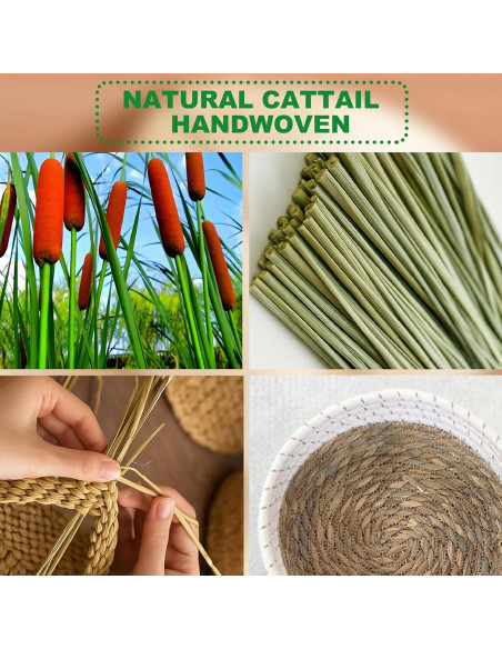 Juego de 7 Bolas de Secado de Lana Natural Read and Work Juego de 7 Bolas de Secado de Lana Natural Read and Work