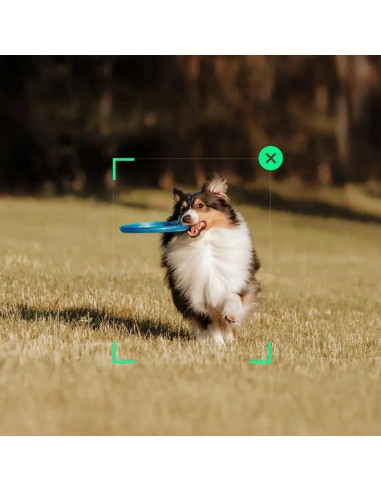 Estabilizador de Cardán DJI Osmo Mobile SE 3 Ejes para Smartphone