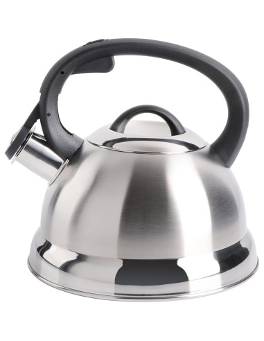 Tetera Silbante de Acero Inoxidable Mr. Coffee Flintshire 1.66L