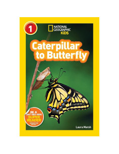 Conjunto de Regalo Mariposa Monarca con Juguete y Libros 2