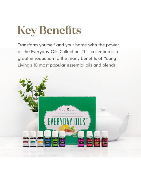 Set de Aceites Esenciales 100% Puros Young Living - 10 Mezclas Set de Aceites Esenciales 100% Puros Young Living - 10 Mezclas