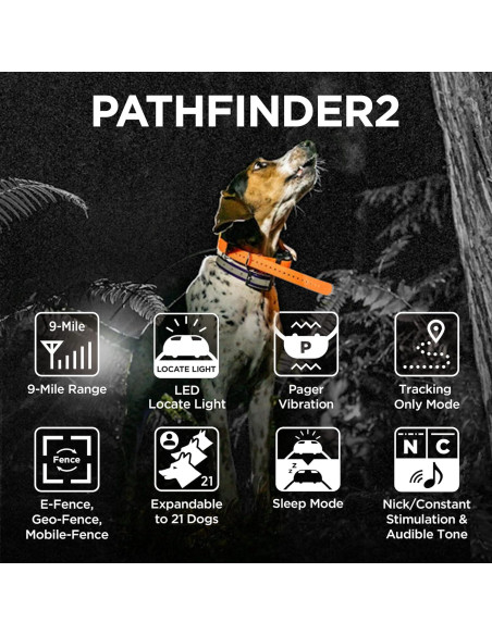Receptor Adicional Dogtra Pathfinder 2 GPS para Perros LED Receptor Adicional Dogtra Pathfinder 2 GPS para Perros LED