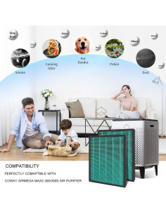 Filtro de Reemplazo H13 HEPA para Purificador Coway Airmega 300 2