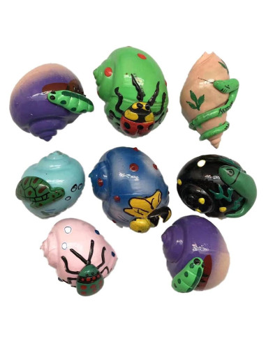 Conchas de Cangrejo Ermitaño Pintadas 8PC 5cm para DIY