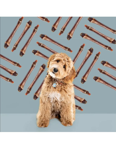 Hueso de Ciervo para Perros Roam - 28 cm, 273 g, Natural