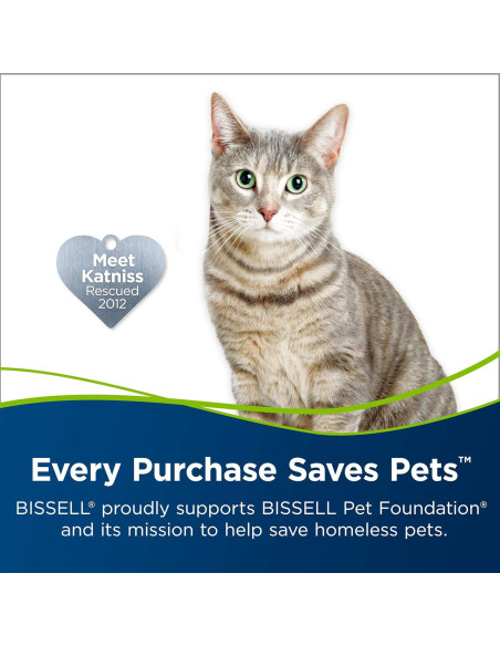 Fórmula para Manchas y Olores de Mascotas BISSELL 74R7 946ml Fórmula para Manchas y Olores de Mascotas BISSELL 74R7 946ml