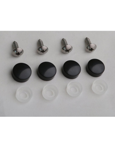 Marco de Placa de Licencia LFPartS Acero Inoxidable con Tornillos M5x16
