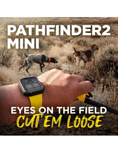 Receptor GPS Dogtra PATHFINDER2 MINI para Perros con Luz LED