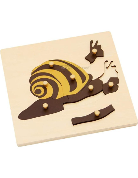 Rompecabezas de Botánica Montessori Elite 24x24 cm Rompecabezas de Botánica Montessori Elite 24x24 cm