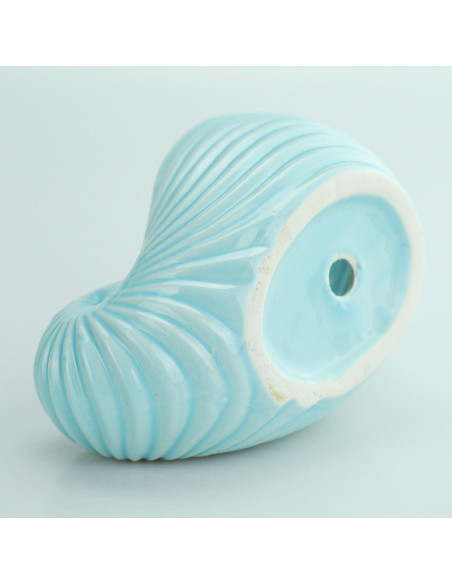 Maceta Cerámica VanEnjoy Concha Azul Cielo 15x7 cm Maceta Cerámica VanEnjoy Concha Azul Cielo 15x7 cm