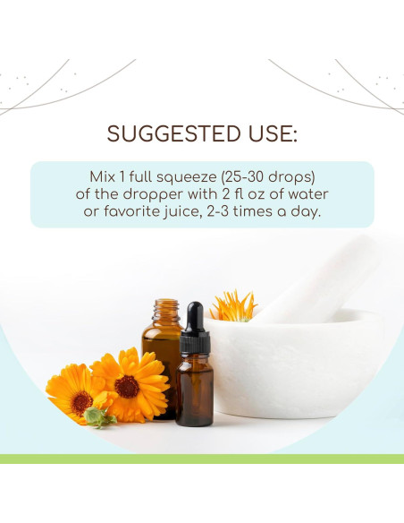 Fórmula de Colesterol B60 HerbEra 60 ml - Extracto Natural Fórmula de Colesterol B60 HerbEra 60 ml - Extracto Natural