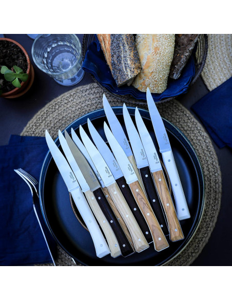 Conjunto de cuchillos de steak OPINEL Facette - 4 piezas de madera de fresno Conjunto de cuchillos de steak OPINEL Facette - 4 piezas de madera de fresno