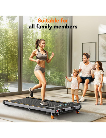 Caminadora Fithrill FT-SE01 Plegable 2.5 HP 120.2 kg Caminadora Fithrill FT-SE01 Plegable 2.5 HP 120.2 kg