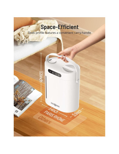 Humidificador Ultrasónico PARIS RHNE 6L con Control Remoto