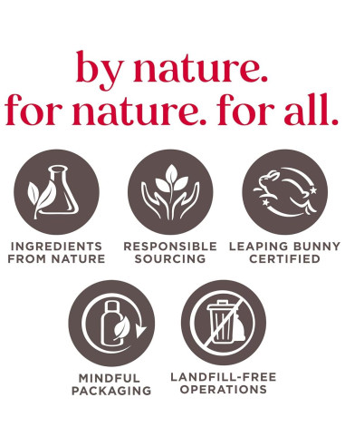 Bálsamo Labial Burt's Bees Pack 6 Tubos Hidratantes Natural