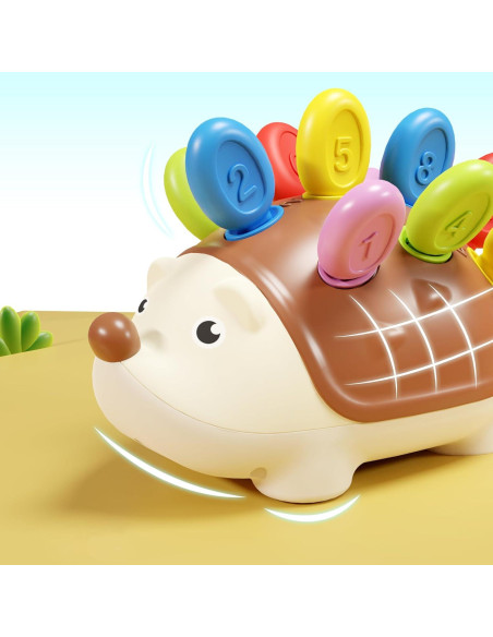 Juguete Educativo iPlay, iLearn Erizo Montessori 1-3 Años Juguete Educativo iPlay, iLearn Erizo Montessori 1-3 Años