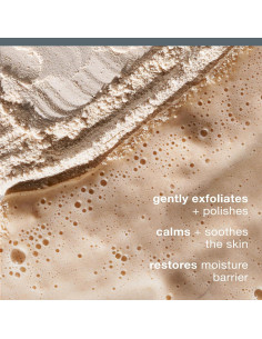 Exfoliante Facial Dermalogica Daily Milkfoliant 12.7g - AHA y BHA 2