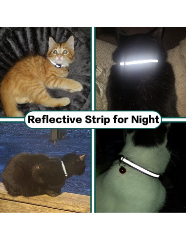 Collar Reflectante para Gato Dgerp con Soporte para AirTag Negro