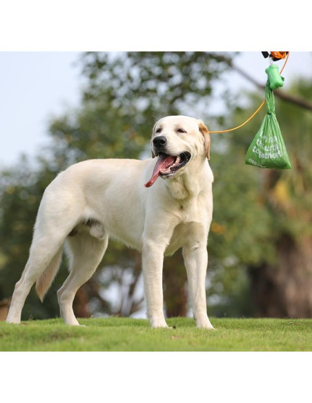 Bolsas de Excremento de Perro Deo Doo 300 Cuentas Grandes Bolsas de Excremento de Perro Deo Doo 300 Cuentas Grandes