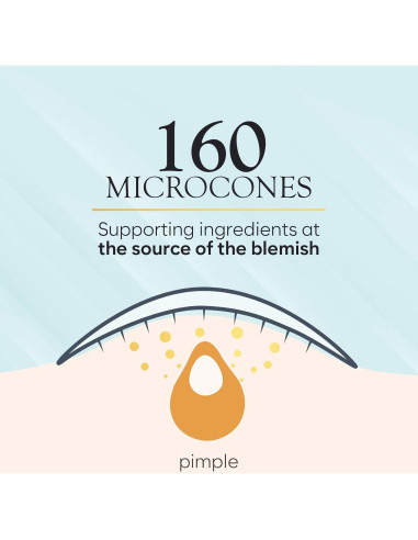 Parche Microdart para Granitos Bloomora - 12 Unidades