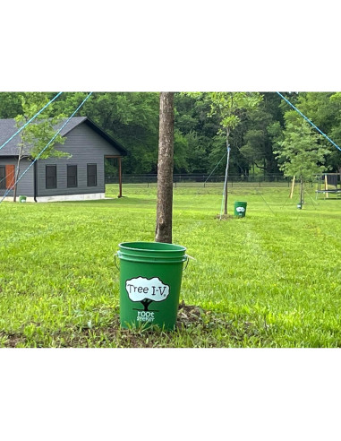 Sistema de Riego Profundo SayeGrow BASEX6 para Plantas